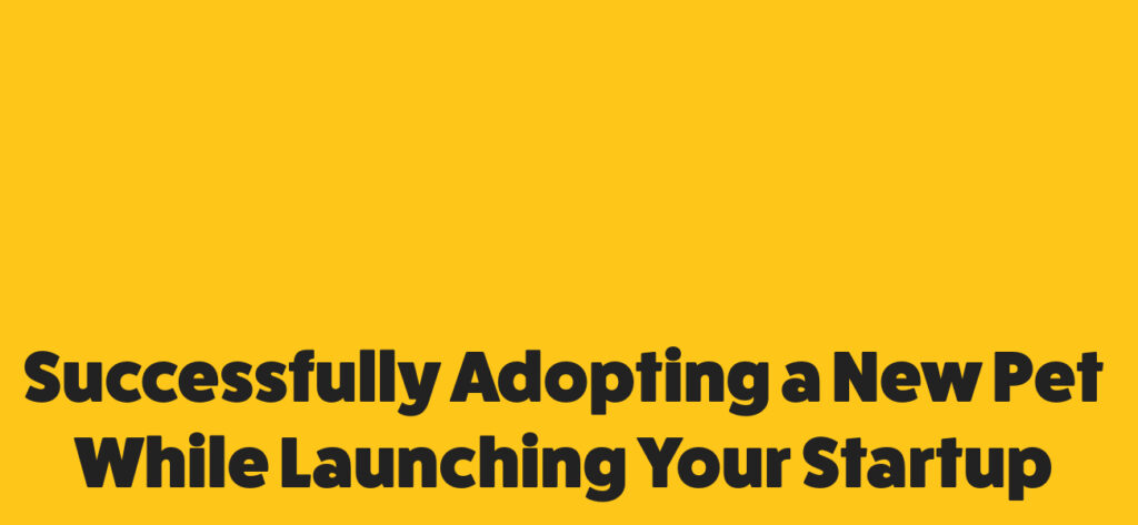 Successfully Adopting a New Pet While Launching Your Startup