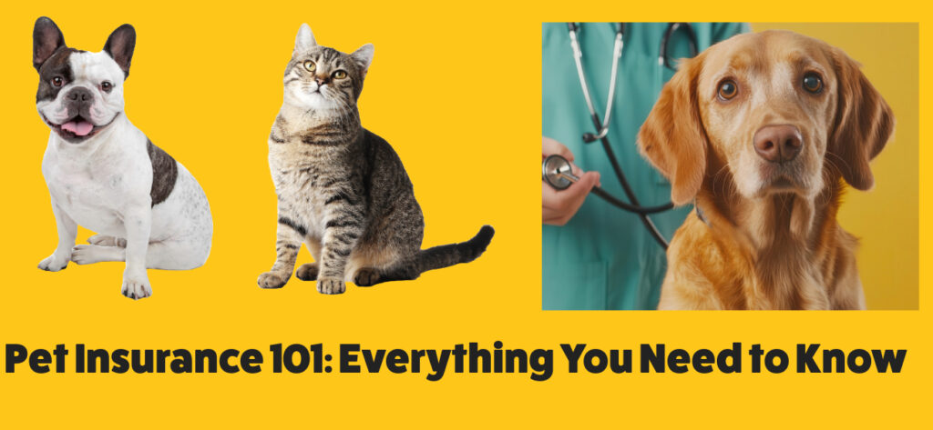 Pet Insurance 101