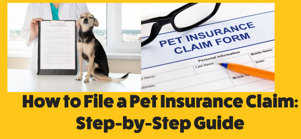 How to file a pet insurance claim