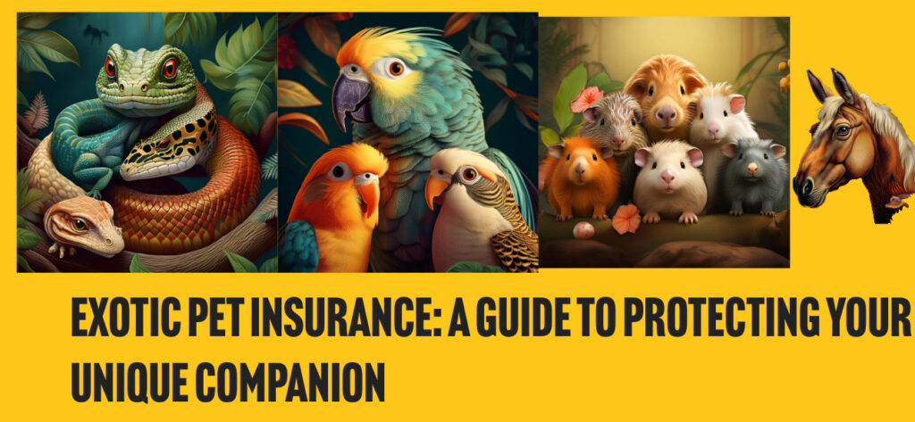 Exotic pet insurance