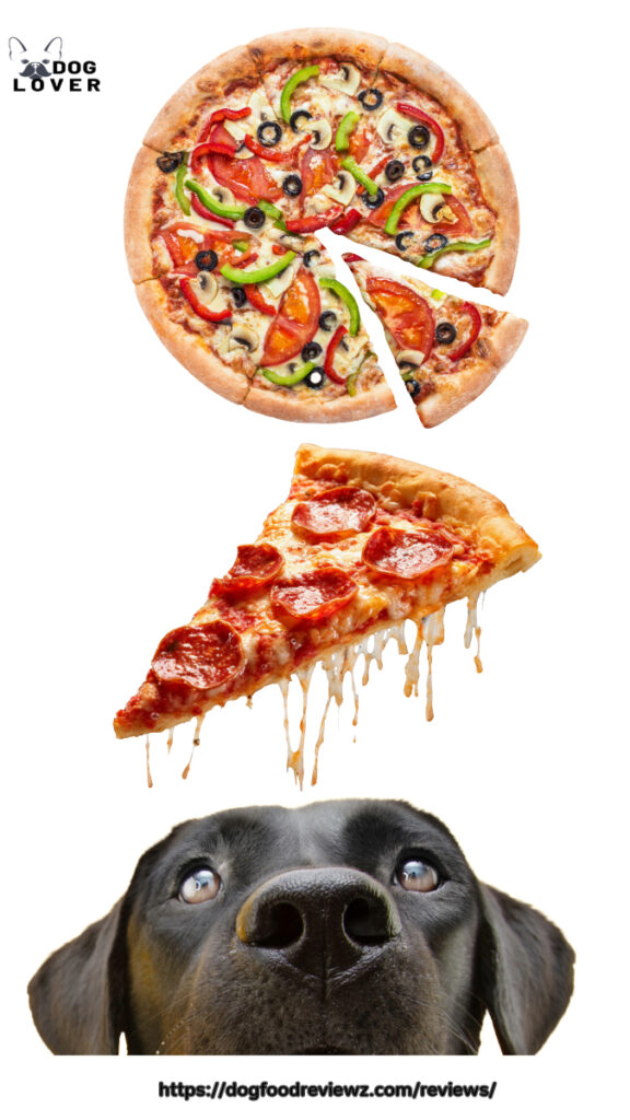 Can dogs eat Pizza?