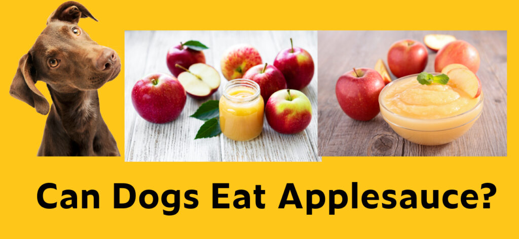 Can dogs eat applesauce?