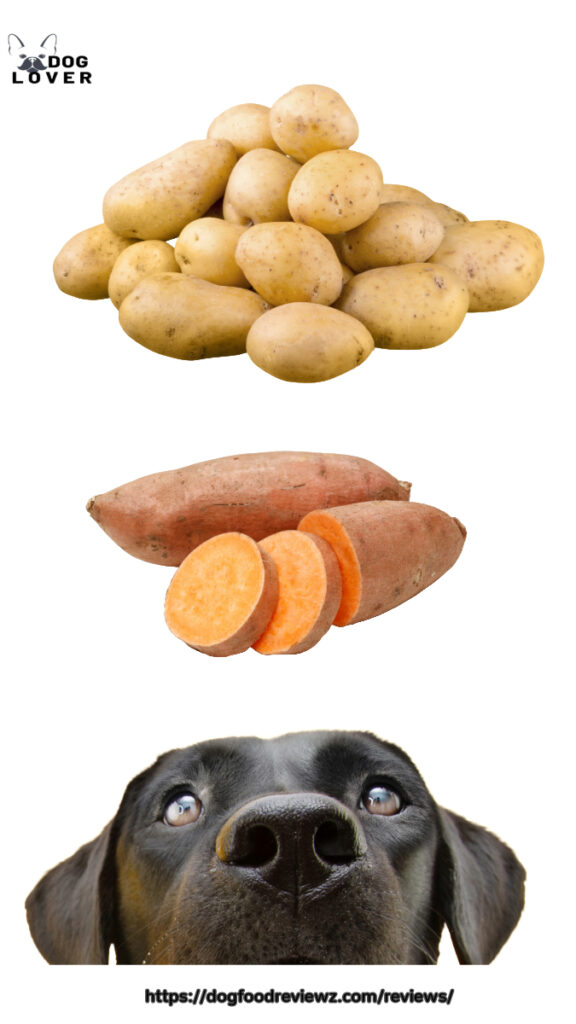 Can dogs eat potatoes