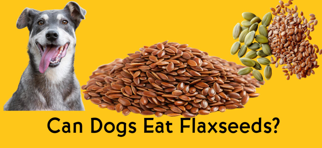 Can Dogs Eat Flaxseeds